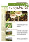 Bulletin Municipal de Savigny - octobre 2012