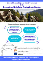 DERMATOSE NODULAIRE CONTAGIEUSE - les bons gestes t 2025